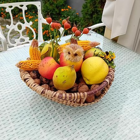 Hotel Casa Continentelor Câmpulung Zewnętrze zdjęcie