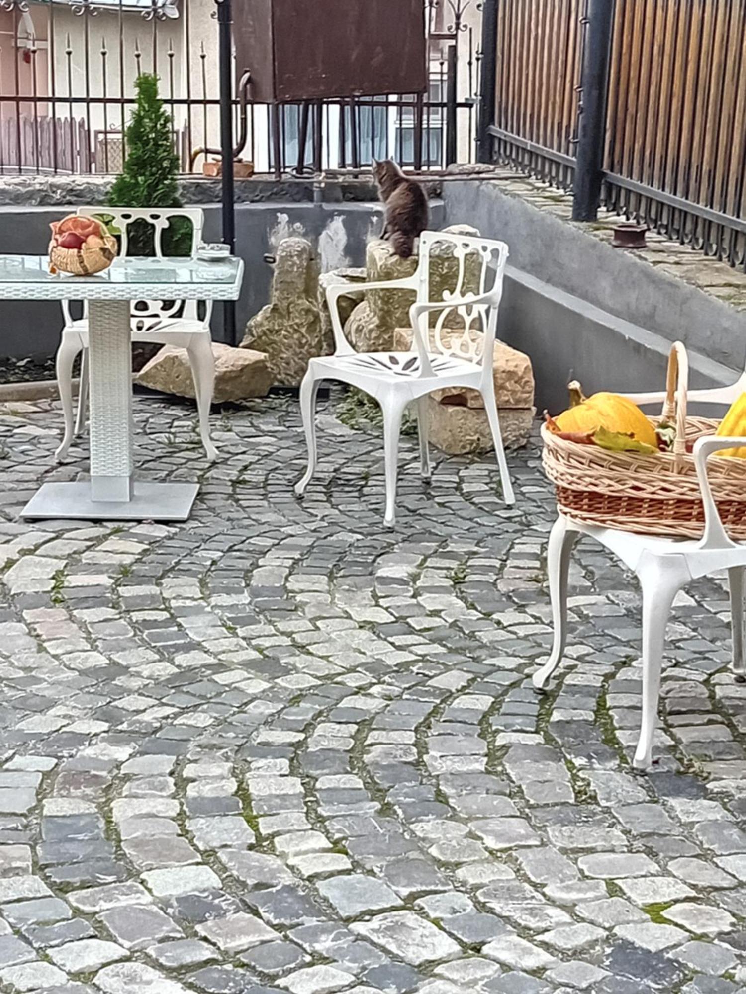Hotel Casa Continentelor Câmpulung Zewnętrze zdjęcie